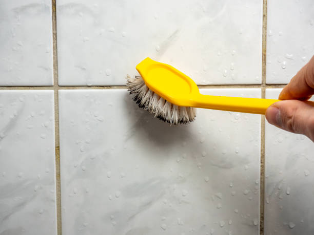 Best Same-Day Mold Removal  in Mount Pleasant, MI