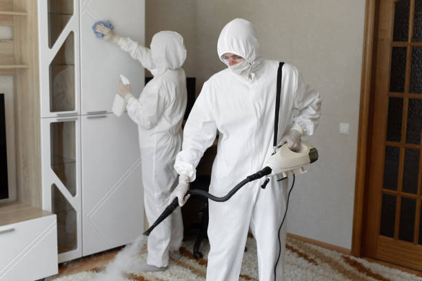 Best Residential Mold Removal  in Mount Pleasant, MI