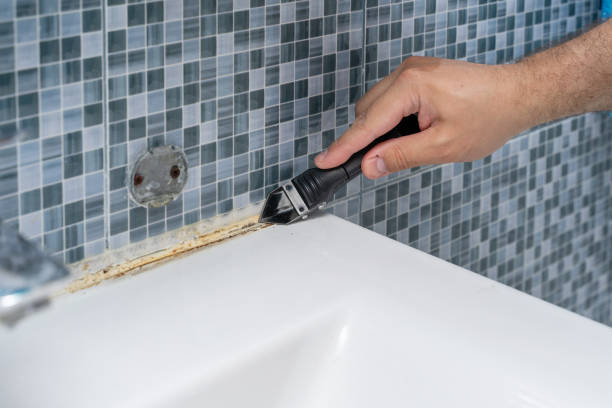 Best Mold Remediation Services  in Mount Pleasant, MI