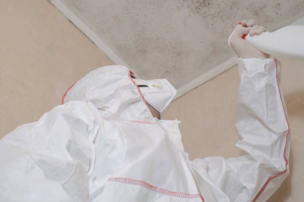 Best Mold Cleaning Services  in Mount Pleasant, MI